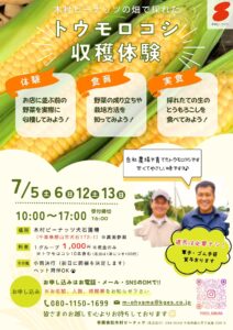 2025/7 トウモロコシ収穫体験